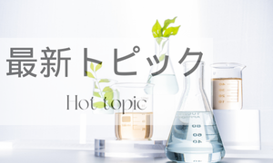 最新トピック